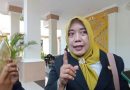 10 Tahun Mengabdi di PUPR Mataram, Honorer Mengaku Dipecat Sepihak Usai Pilkada Tanpa SK Pemberhentia